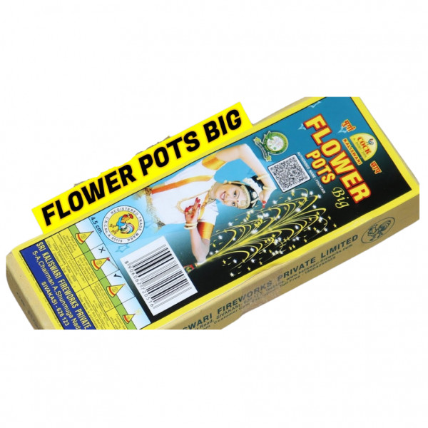 Flower pot (1 10)
